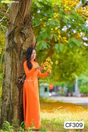 Chiffon cam carrot kiotviet f2e978a19cf6afbb47e792b4839e9d05